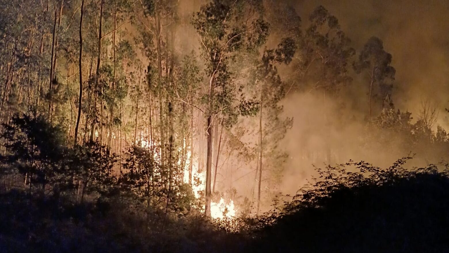 Incêndios: Sernancelhe recebe esta quinta-feira reunião com dois ministros e 27 autarcas
