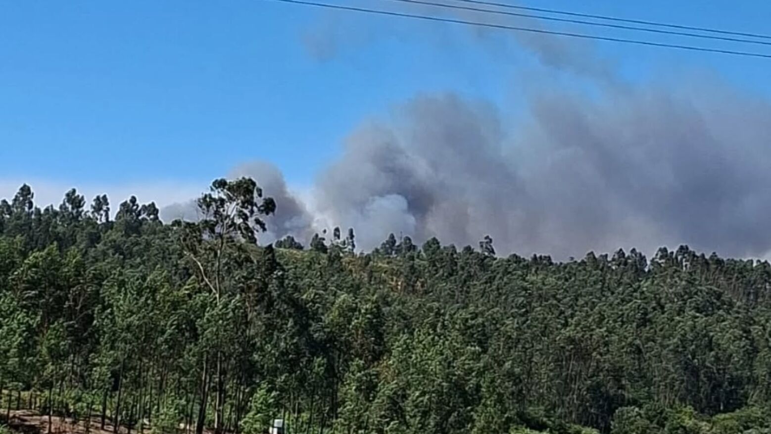 Quase uma centena de bombeiros estão a tentar extinguir incêndio em Capela, Penafiel