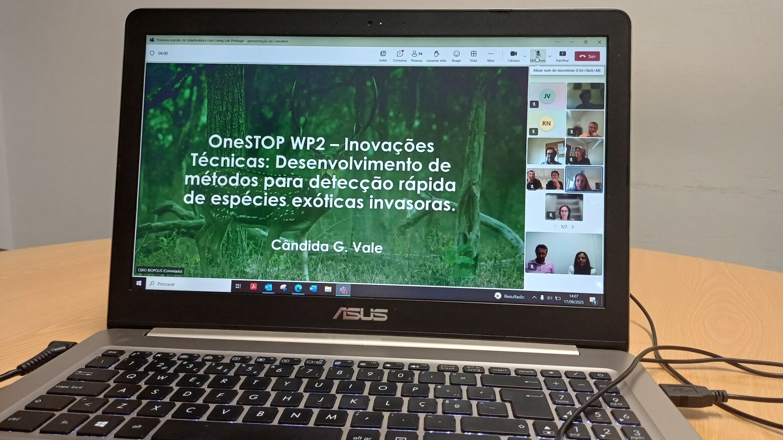 OneSTOP: Douro e Tâmega na linha da frente na investigação das espécies invasoras