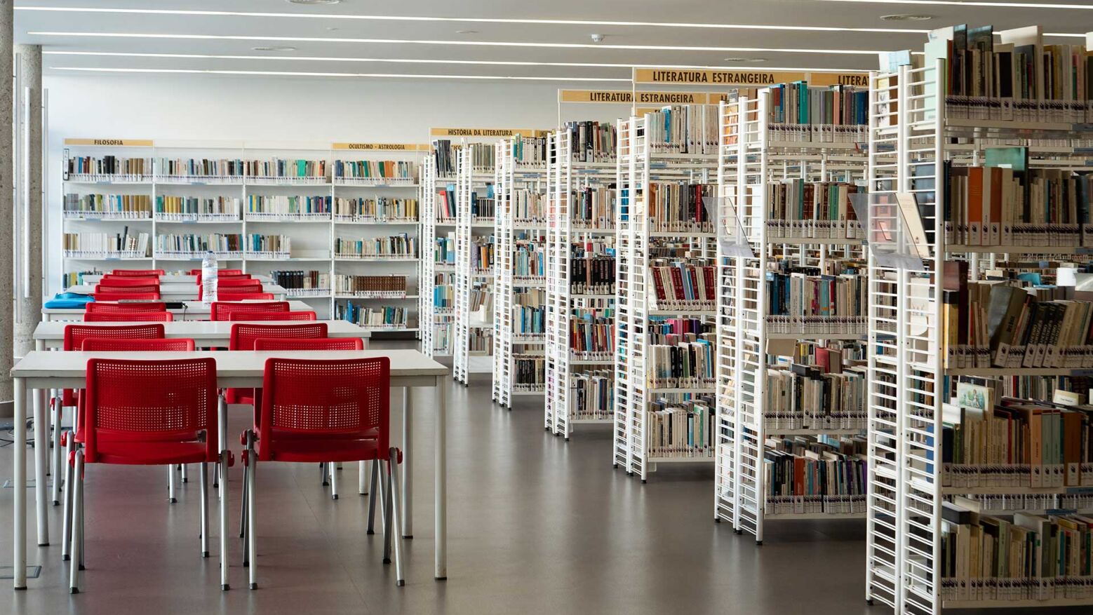 BIBLIO Felgueiras 2026: Festa do Livro re&uacute;ne 30 autores nacionais e locais na Biblioteca Municipal