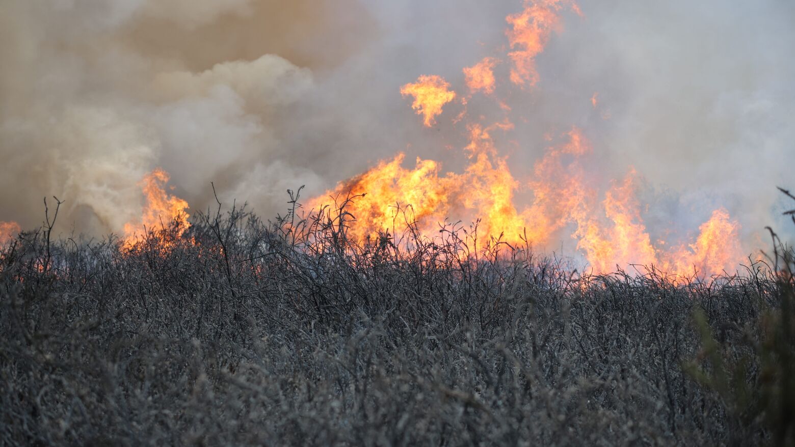 Maia: PJ det&eacute;m homem de 50 anos suspeito de atear dois inc&ecirc;ndios florestais