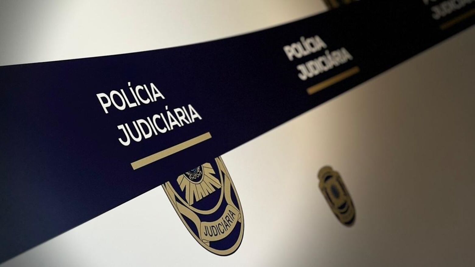 Cibercrime: Diretor da PJ defende cria&ccedil;&atilde;o do crime de usurpa&ccedil;&atilde;o de identidade digital