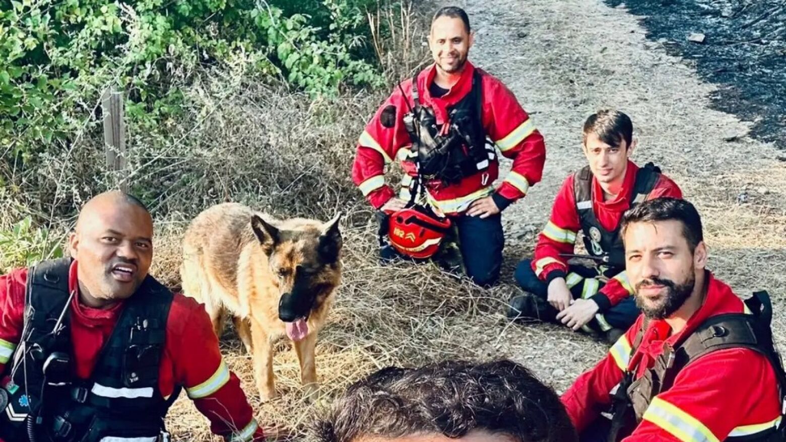 Incêndio em Penafiel: Cão resgatado por bombeiros da Trofa permanece ao lado da equipa em sinal de gratidão