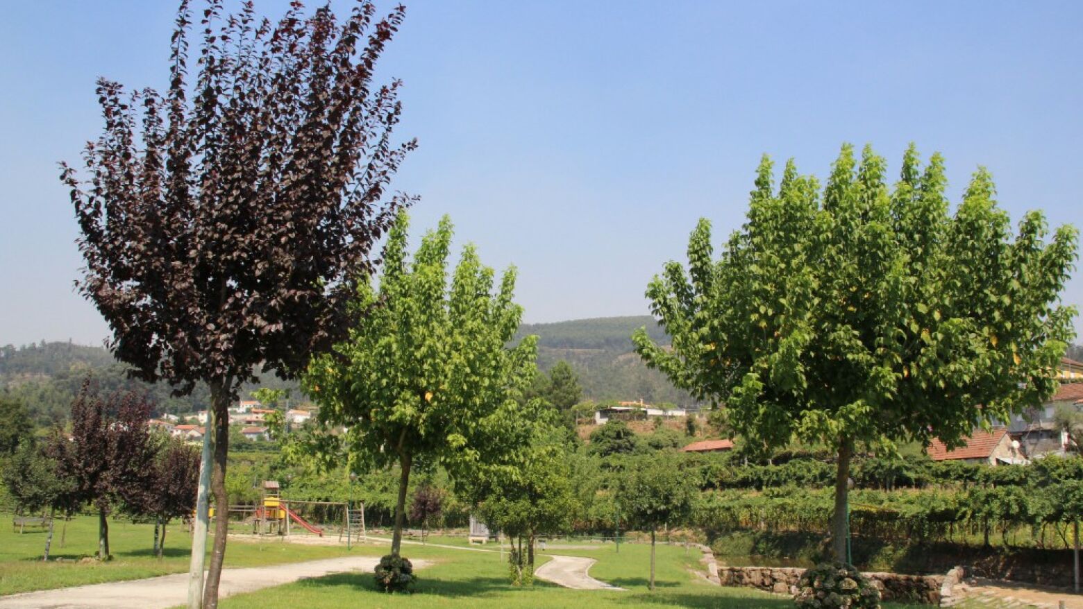 “Ciência no Parque” em Lousada regressa a 10 de maio com o desafio “Desvenda o Crime”