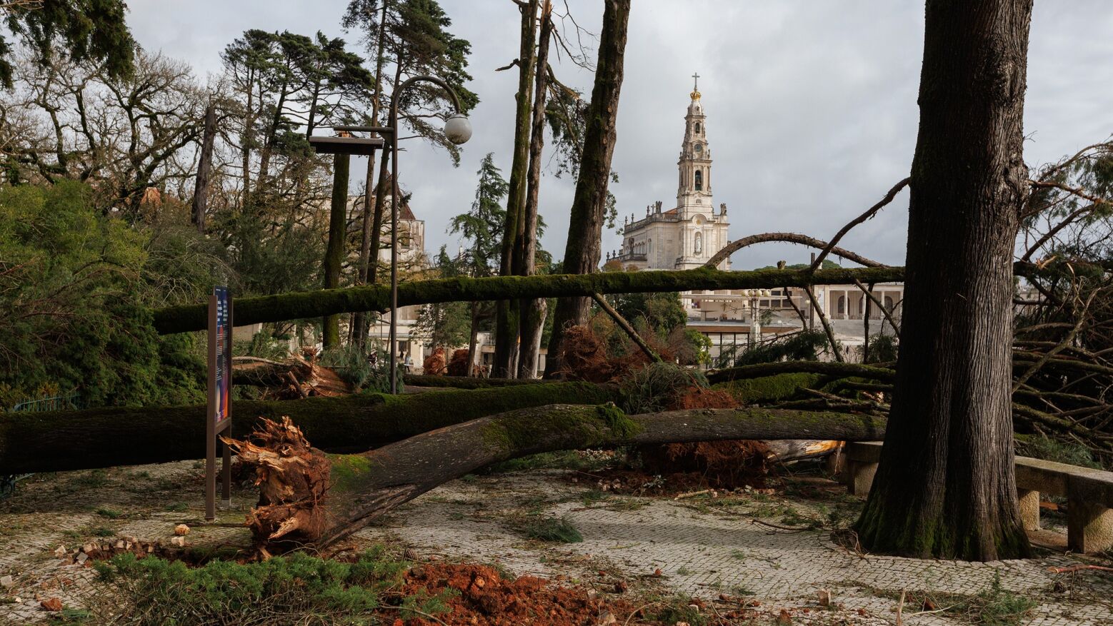 F&eacute; resiste ao temporal: mau tempo n&atilde;o interrompe a vida no Santu&aacute;rio de F&aacute;tima