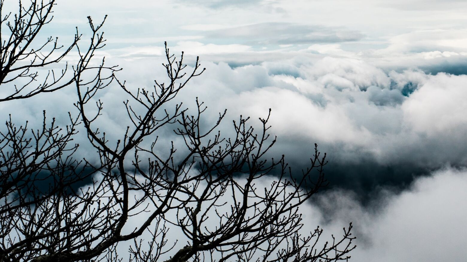 Grande Porto: Quinta-feira com manh&atilde;s nubladas e abertas a partir da tarde