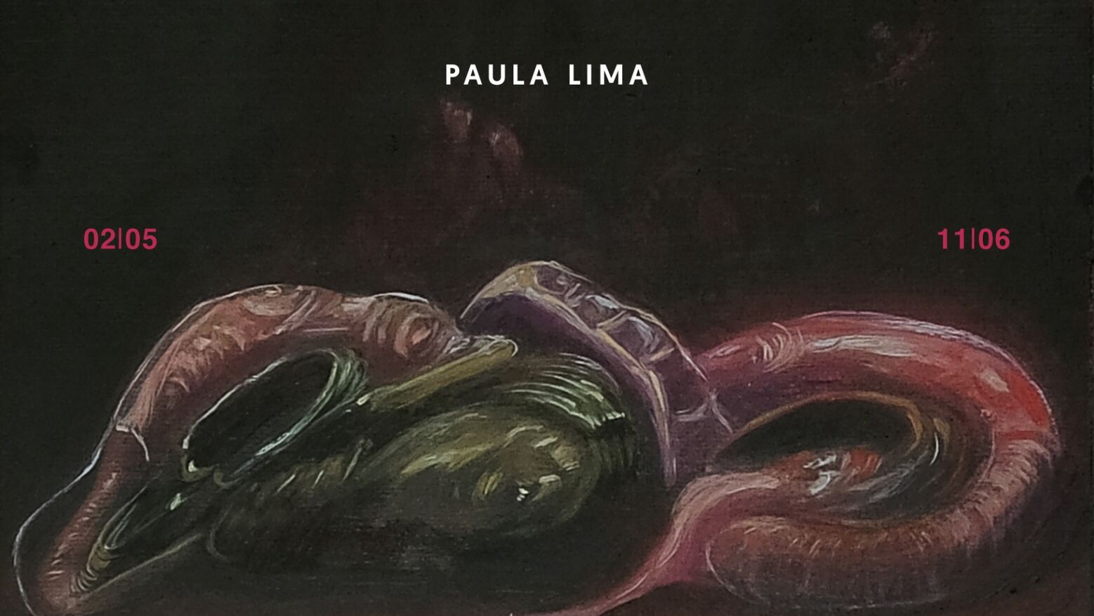 Felgueiras: Exposi&ccedil;&atilde;o de pintura "Al&eacute;m do Fim" da artista Paula Lima inaugurada no s&aacute;bado