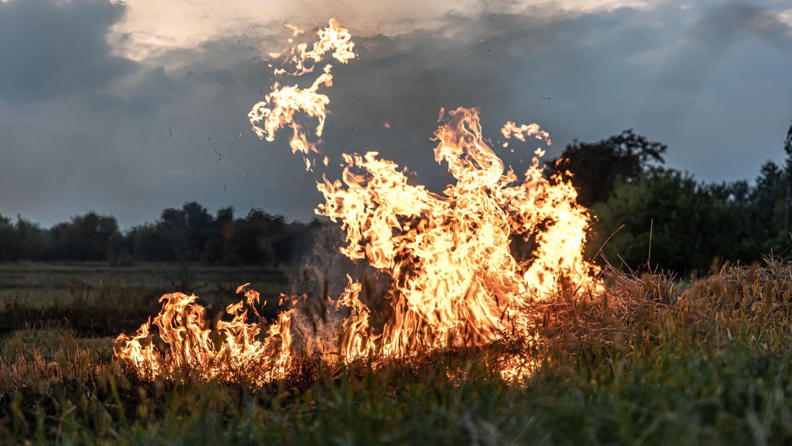 Mais de 40 concelhos em perigo máximo de incêndio rural – IPMA alerta para risco elevado nos próximos dias