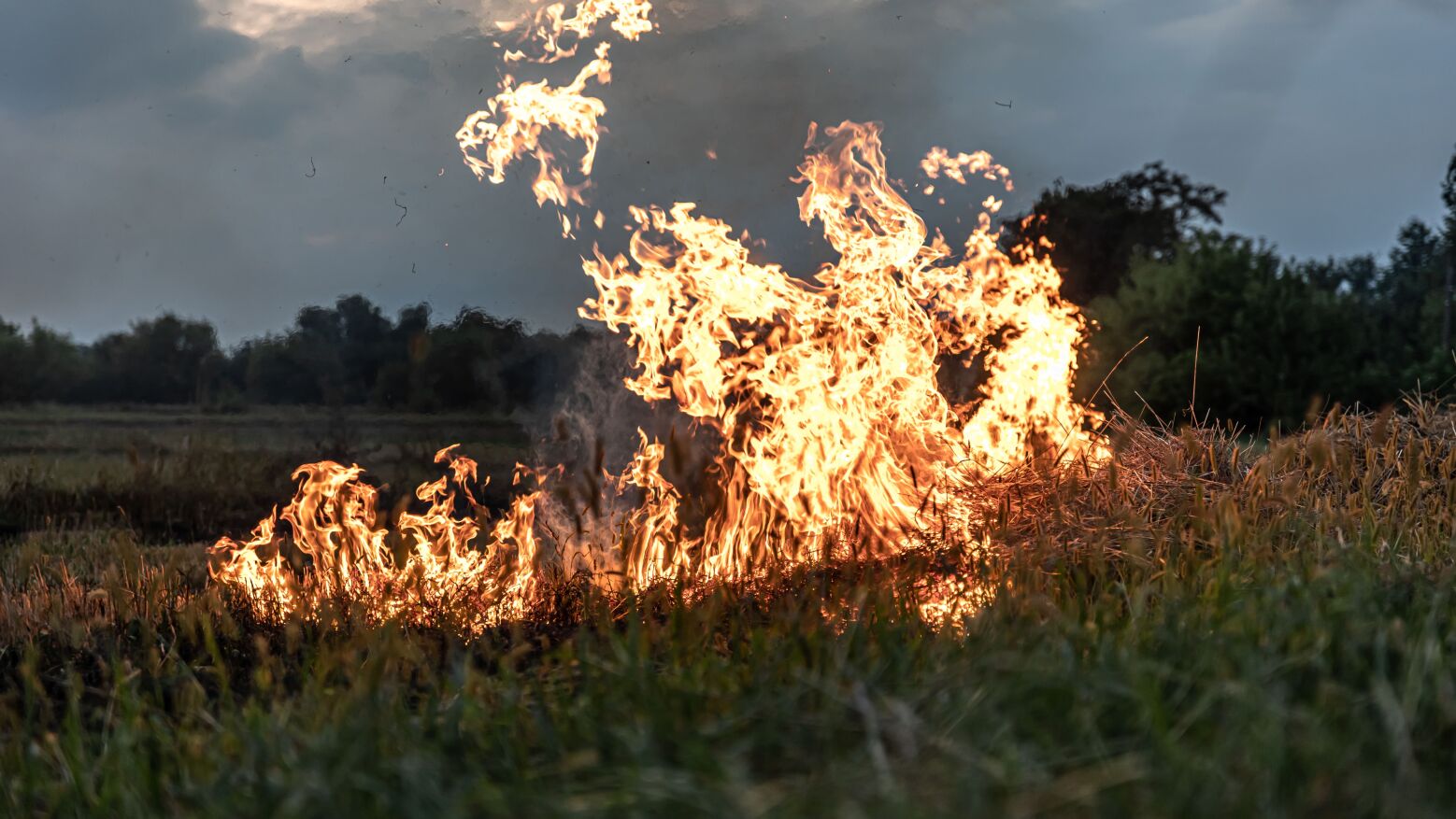 Mais de 30 concelhos em perigo máximo de incêndio devido a temperaturas superiores a 40 graus
