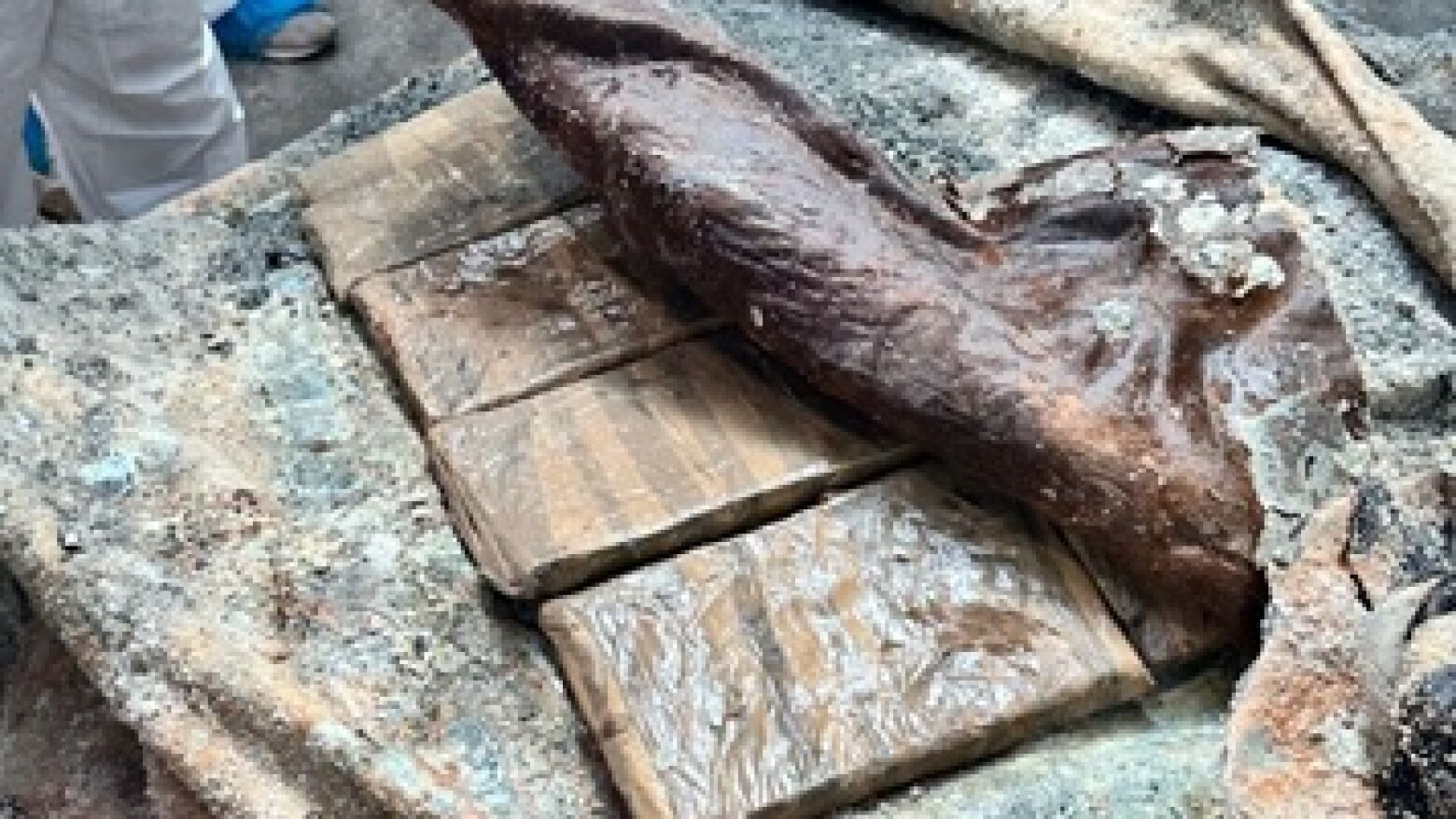 PJ apreende tonelada e meia de cocaína escondida em contentores com peles de animais