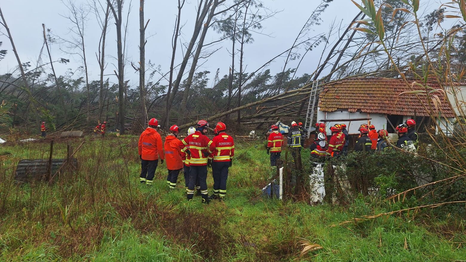 Bombeiros do T&acirc;mega e Sousa regressam ao territ&oacute;rio ap&oacute;s conclu&iacute;rem miss&atilde;o em Leiria