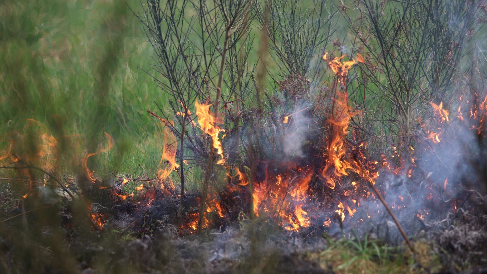 GNR det&eacute;m 59 pessoas por crimes de inc&ecirc;ndio: Uso negligente do fogo motiva maioria das deten&ccedil;&otilde;es