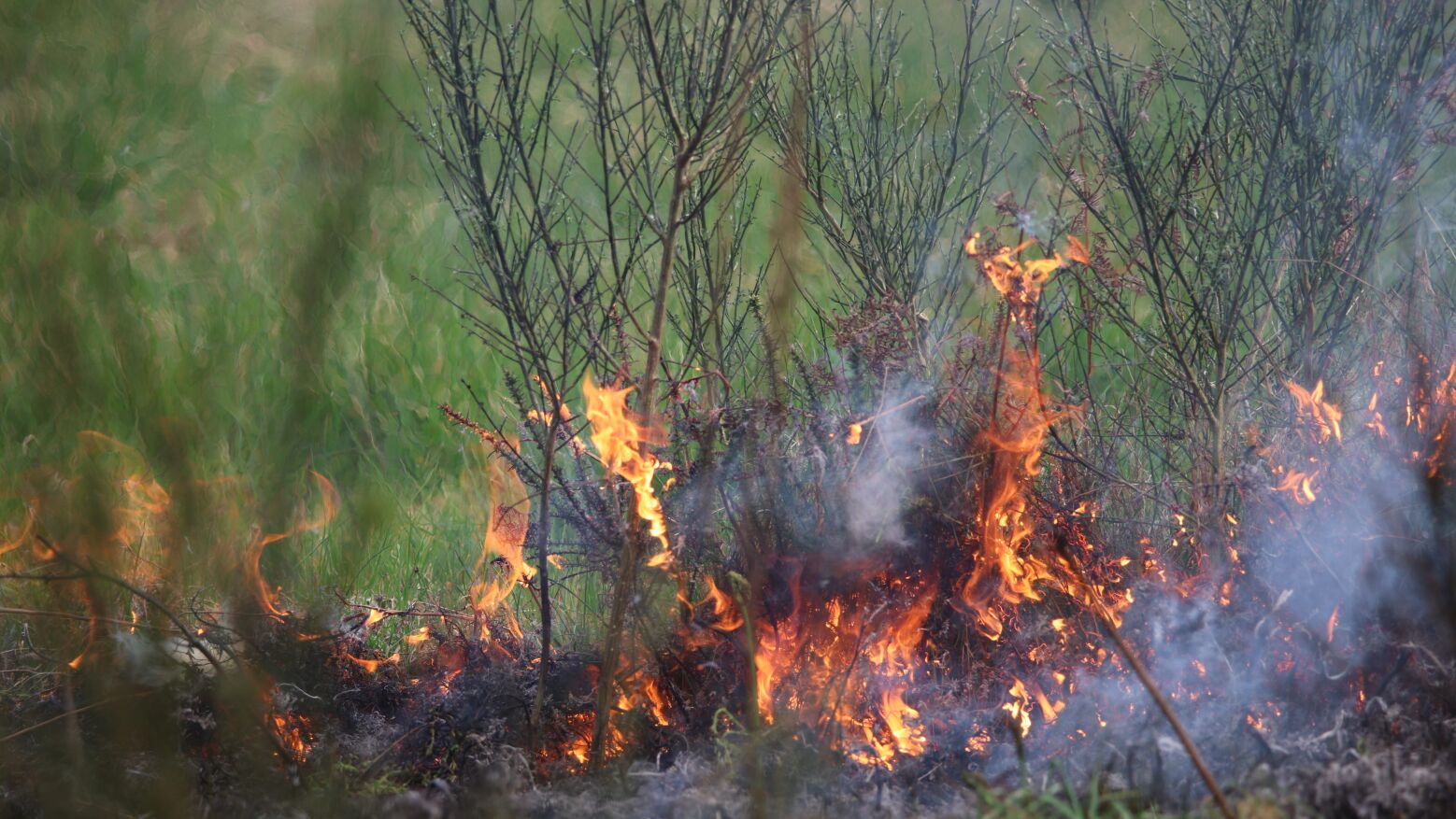 Penafiel: Queima de sobrantes descontrolada leva à detenção de mulher por incêndio florestal