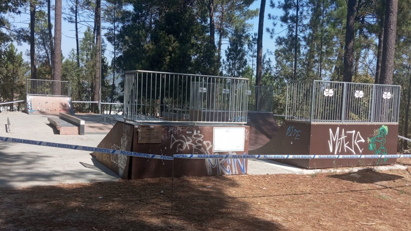 Skate Park do Parque de Lazer do Marco de Canaveses encerrado temporariamente devido a ninho de vespa asiática