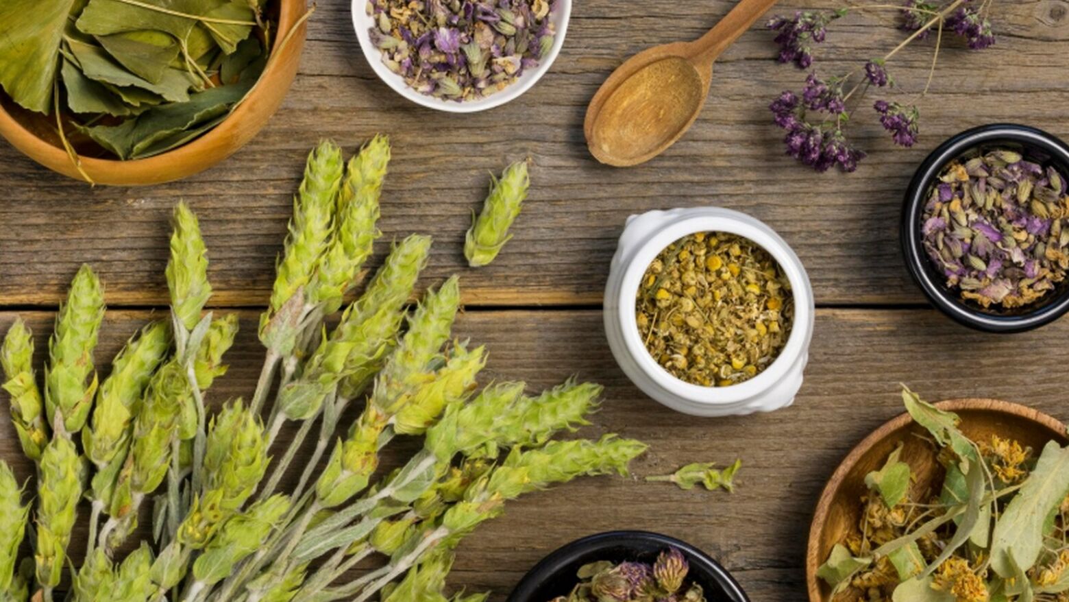 Celorico de Basto acolhe a IV edi&ccedil;&atilde;o da Vill'arom&aacute;tica: Um despertar de sentidos