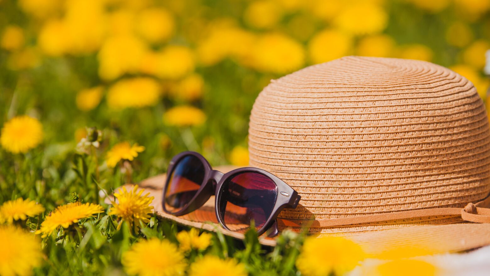 T&acirc;mega e Sousa: Sexta-feira com manh&atilde;s mais amenas, boas abertas e vento nas terras altas