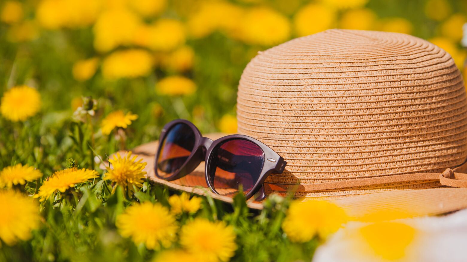 Turismo do Porto e Norte com perspetivas otimistas: Ocupa&ccedil;&atilde;o hoteleira atinge os 80% para a P&aacute;scoa