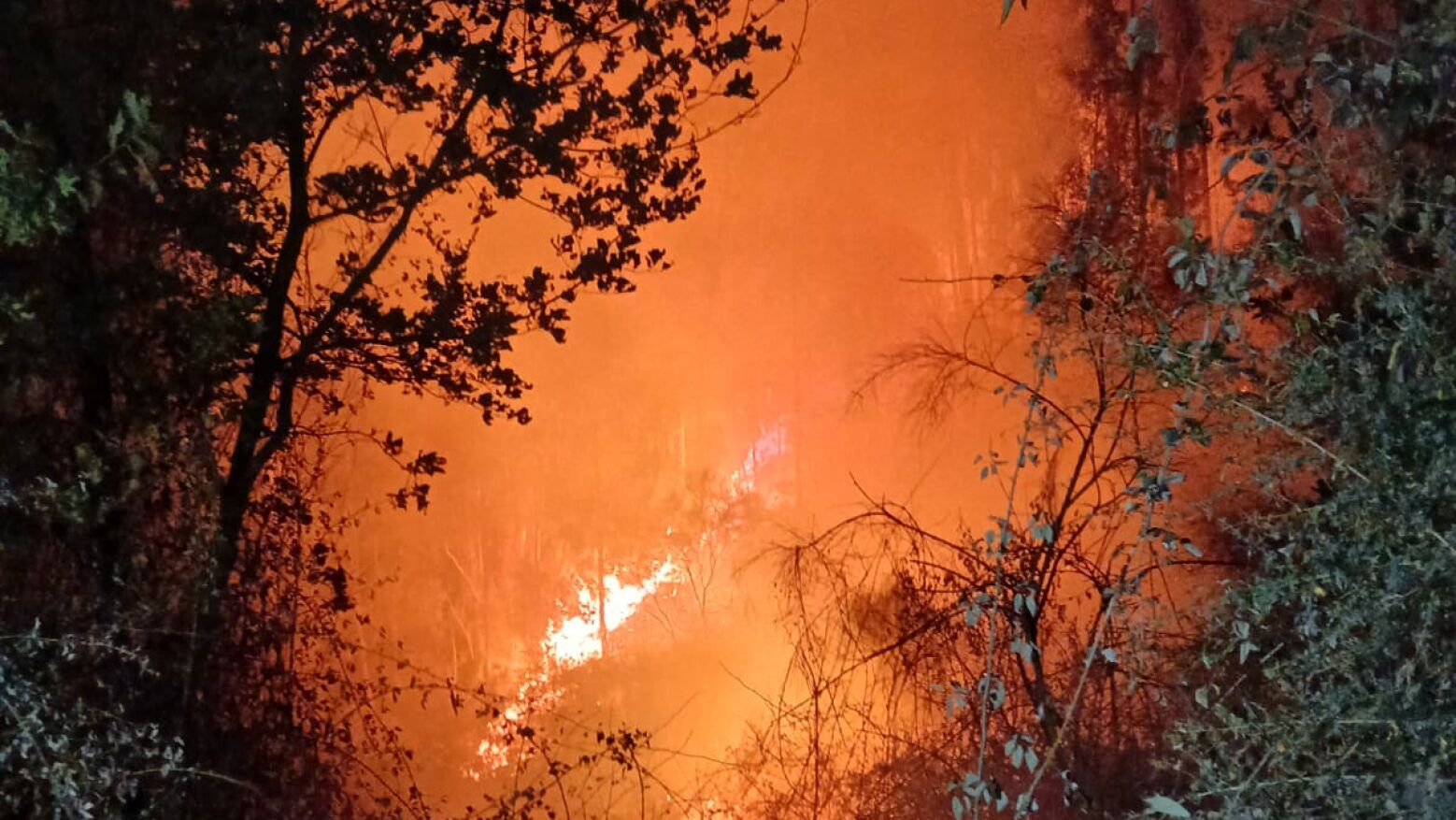 Incêndios: Apoios do Governo abrangem 73 concelhos e período de 26 de julho a 27 de agosto