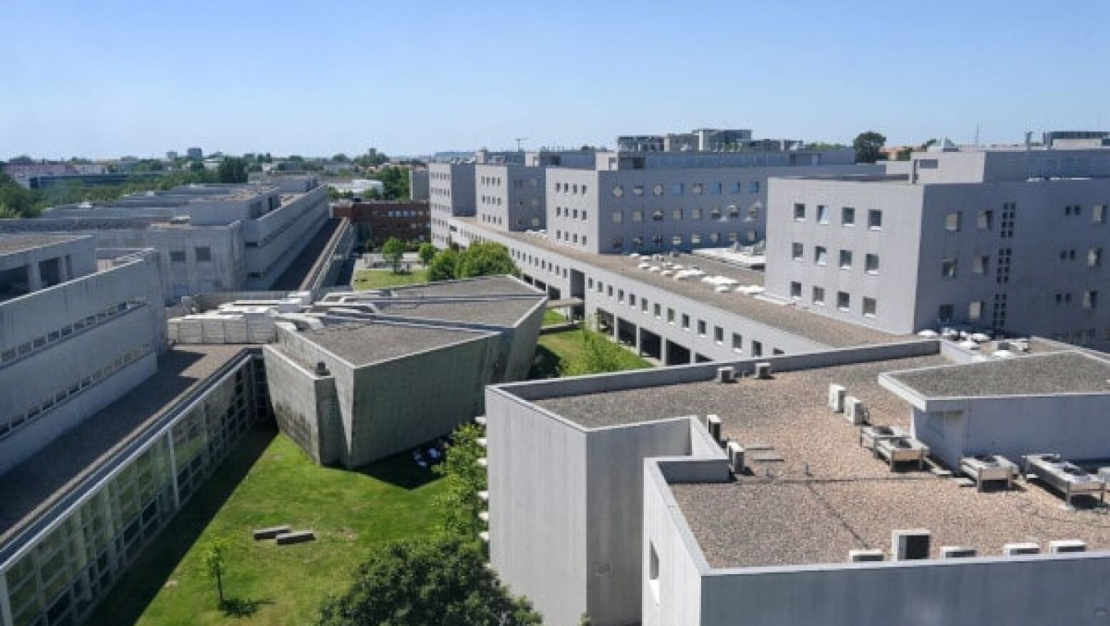 Estudo da Universidade do Porto revela potencial de nanomateriais e LEDs para destruir células cancerígenas