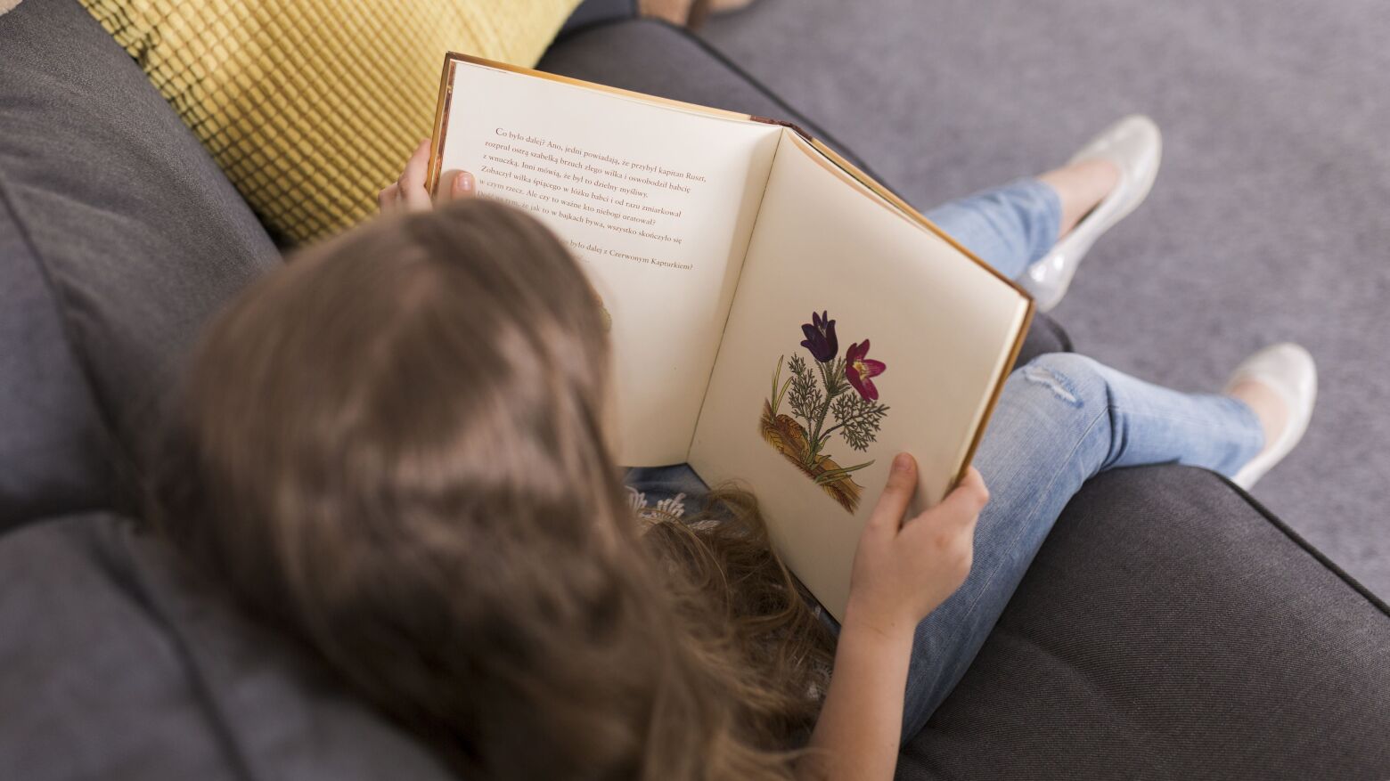 Biblioteca Municipal de Baião promove “Leitura em Família” com piqueniques literários