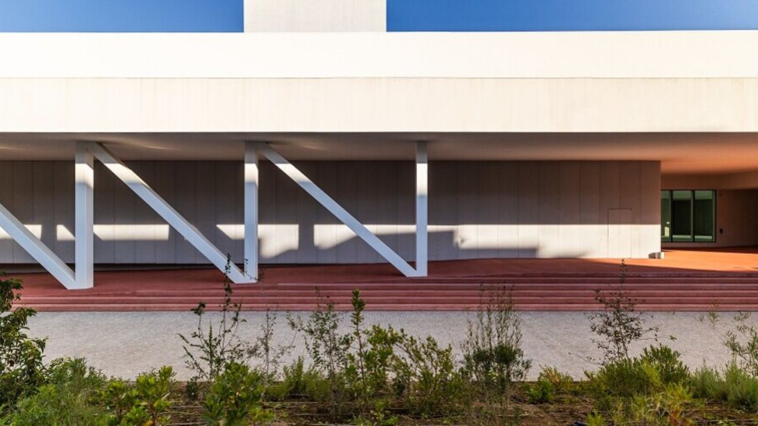 Paredes acolhe I Congresso Internacional de Ci&ecirc;ncias Veterin&aacute;rias focado nos desafios da geriatria animal