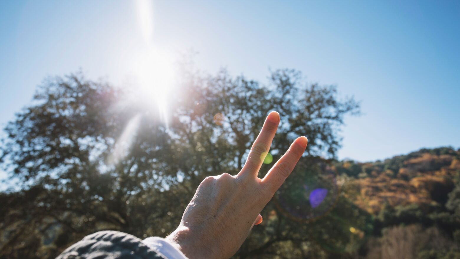 Grande Porto: Sexta-feira com neblina matinal e abertas a partir da tarde