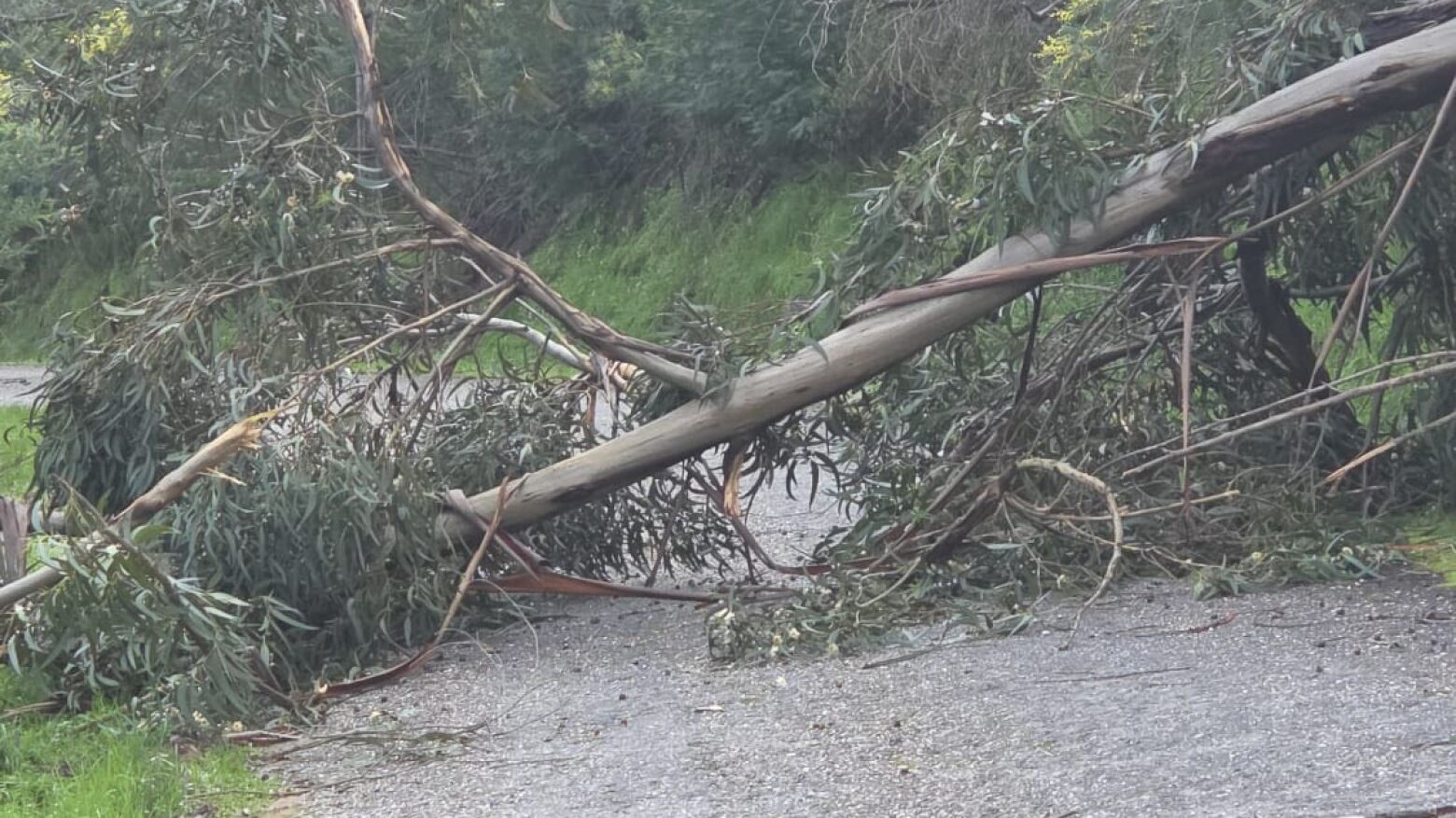GNR atualiza lista de estradas cortadas no distrito do Porto devido ao mau tempo