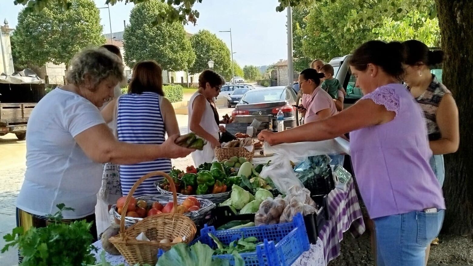 Celeiro Rico: Mercado Local de Produtores em Celorico de Basto no próximo domingo