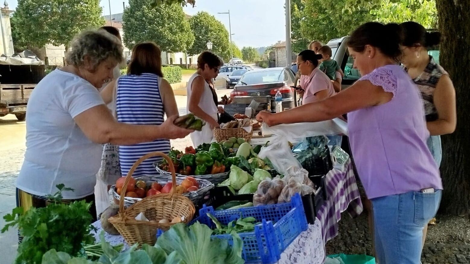 Celeiro Rico: Mercado de produtores locais chega a Fermil de Basto para celebrar os 25 anos da vila