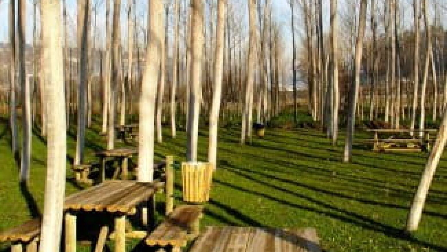 Lousada: Parque de Lazer de Casais acolhe evento de ci&ecirc;ncia e sustentabilidade a 18 de abril