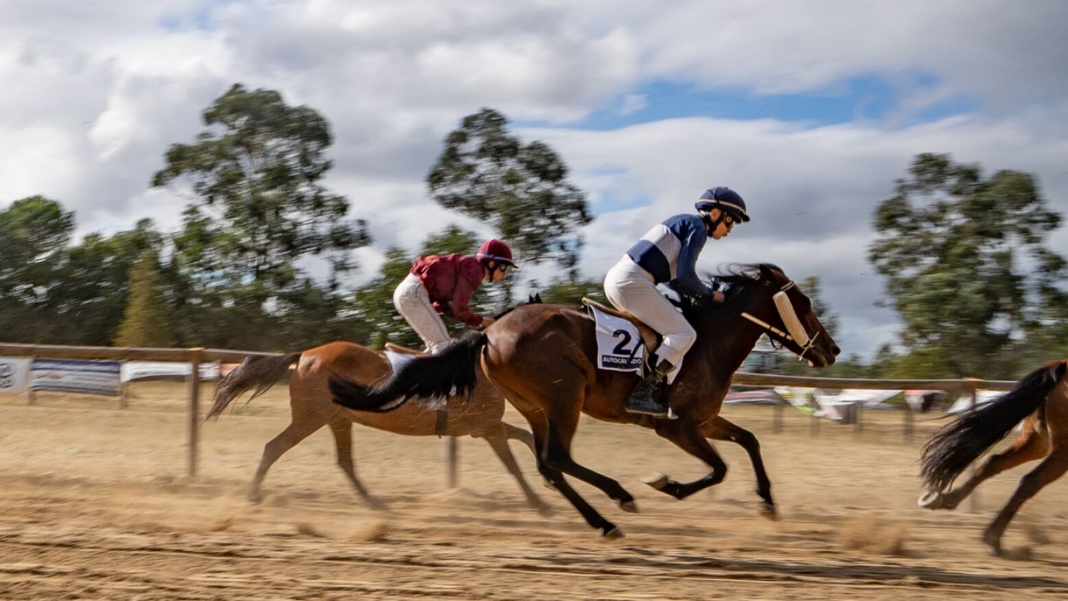 32.ª Corrida de Cavalos em Carvalho atrai milhares de aficionados a Celorico de Basto