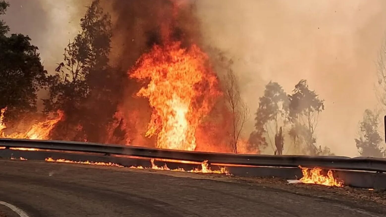 Brisa lança plano e aplicação para alertar condutores sobre incêndios nas autoestradas