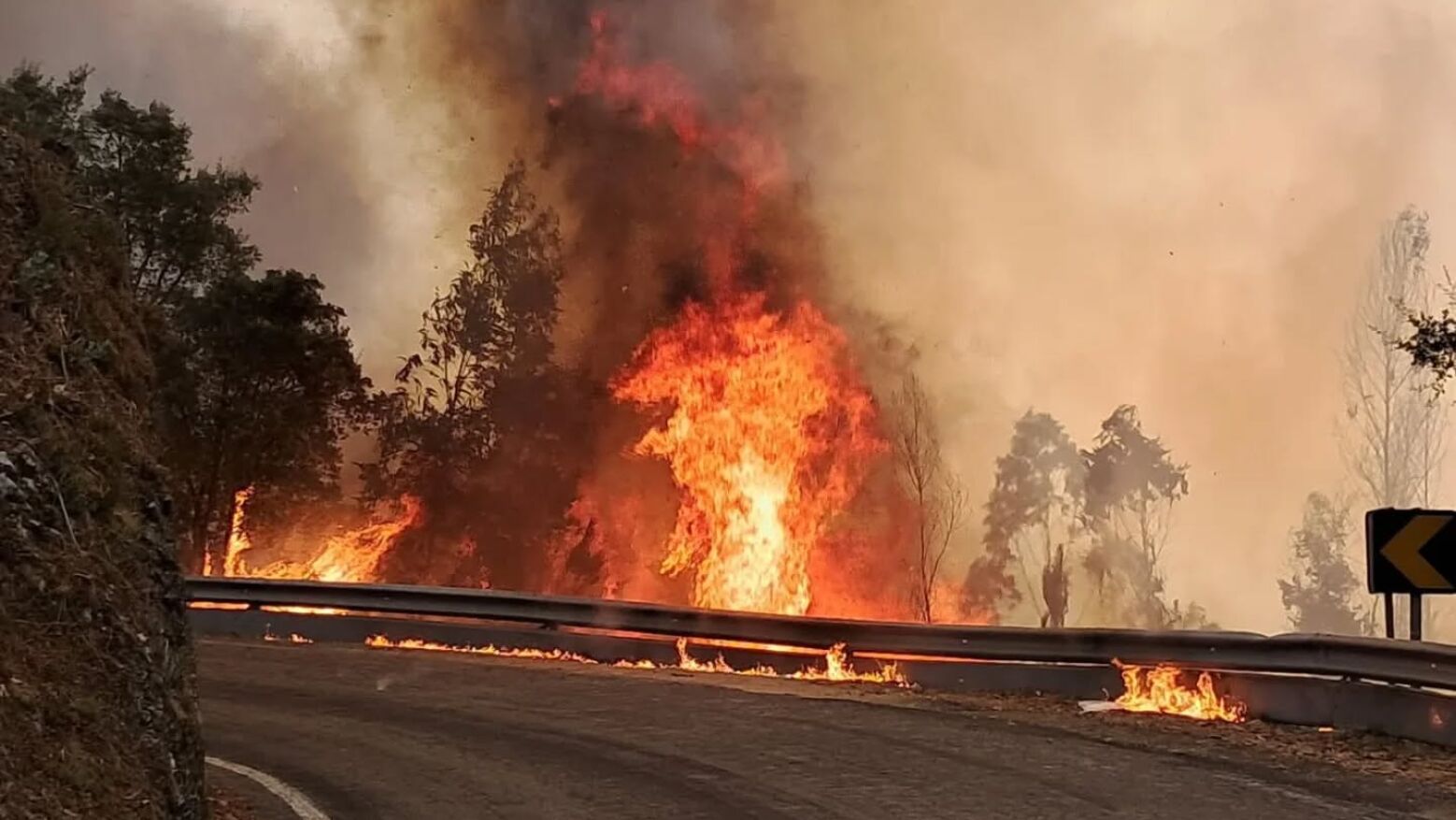 29 de julho foi o dia com mais incêndios rurais em 2025