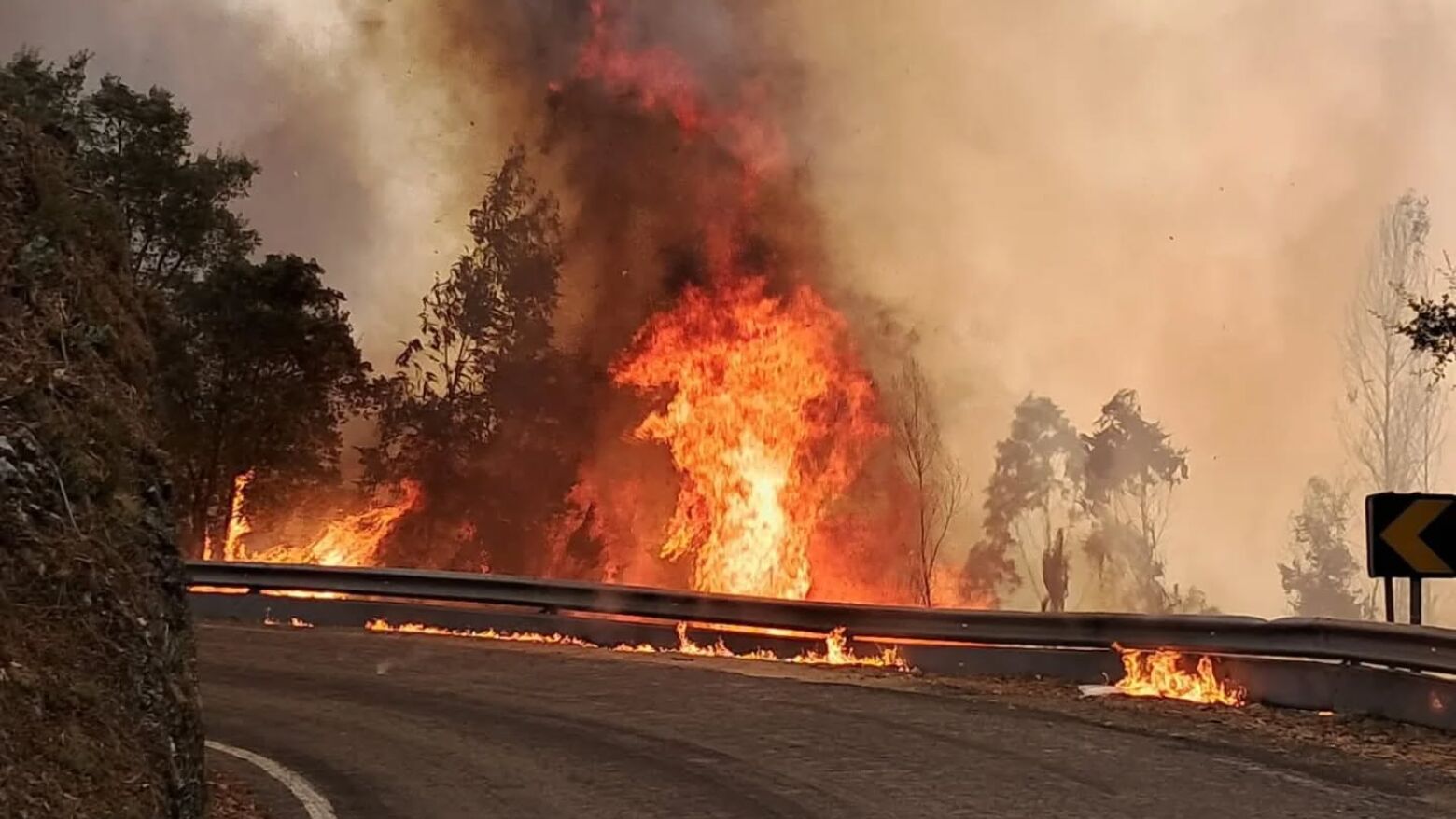 Incêndio deflagra em Cinfães