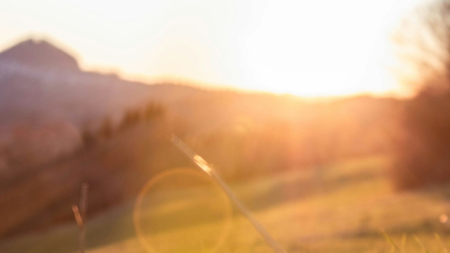 Semana começa com temperaturas altas
