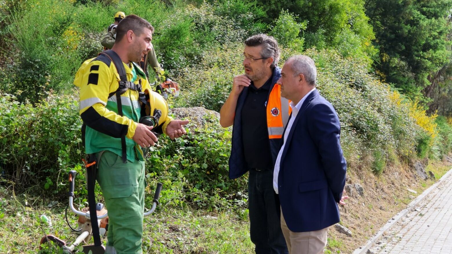 Paredes: Prote&ccedil;&atilde;o Civil avan&ccedil;a com limpeza de matas e alerta para multas at&eacute; 25 mil euros