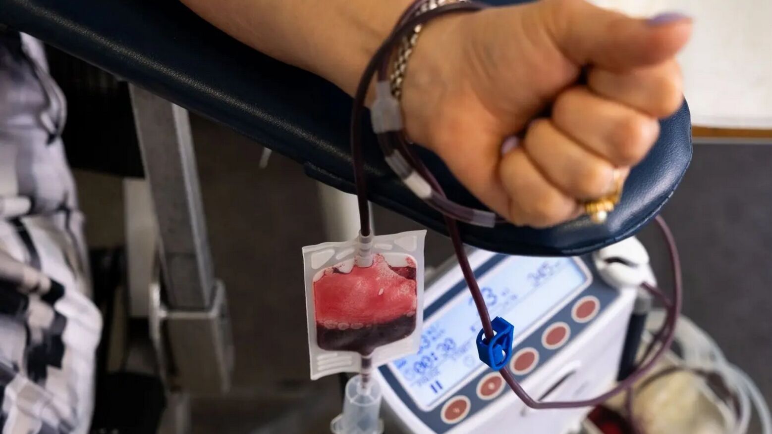 Hospital de São João lança campanha de incentivo à dádiva de sangue