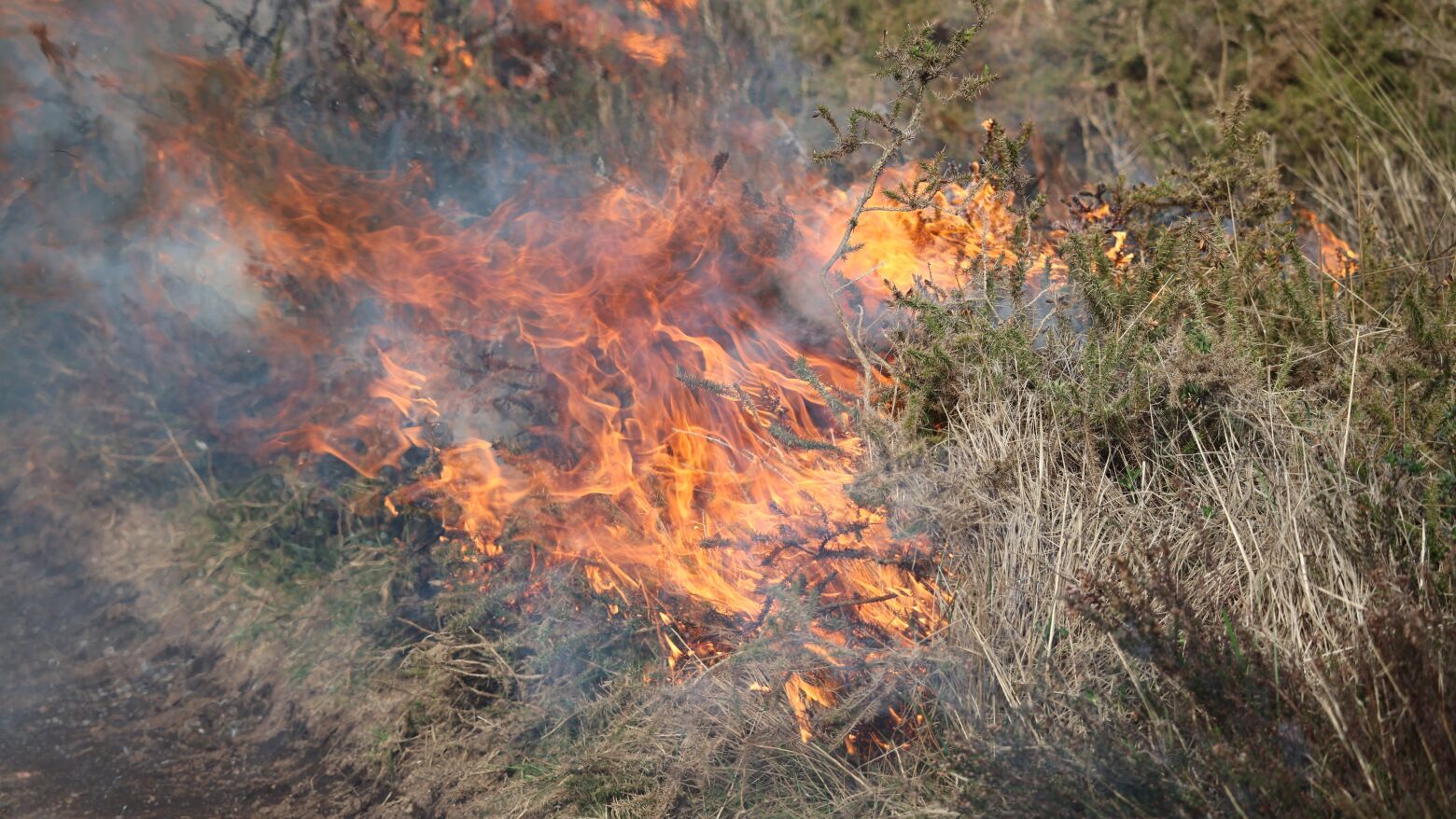 Inc&ecirc;ndio em Arouca j&aacute; est&aacute; dominado mas frentes simult&acirc;neas levantam suspeitas de crime