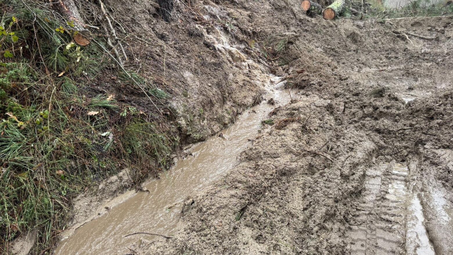 Medidas de prote&ccedil;&atilde;o refor&ccedil;adas face &agrave; satura&ccedil;&atilde;o dos solos; ter&ccedil;a-feira registou 322 ocorr&ecirc;ncias