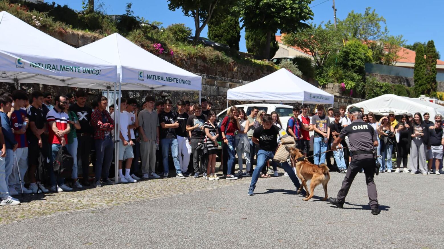 Câmara Municipal promove “Cinfães Protege 2025”