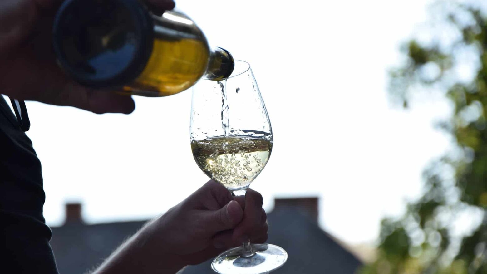 ‘Simplesmente Vinho’ regressa à Alfândega do Porto com mais de 300 referências