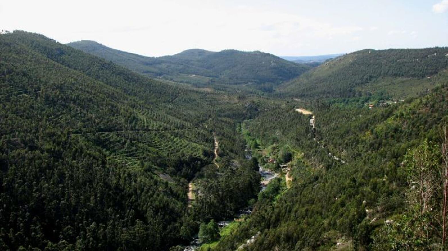 Valongo: Serra de Santa Justa recebe caminhada e workshop de herb&aacute;rio em setembro