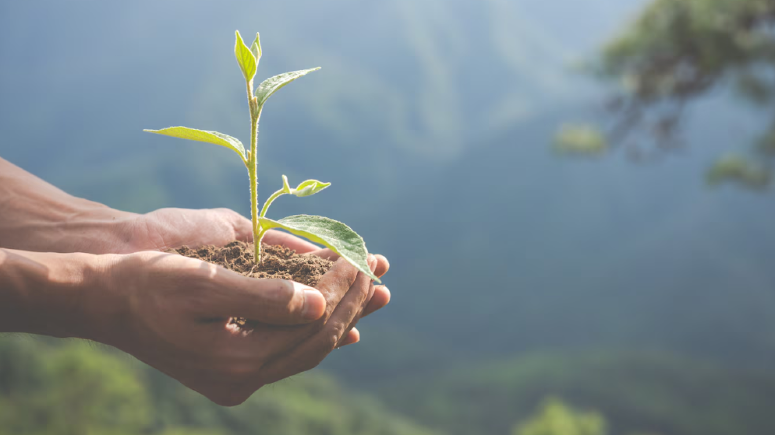 Lousada: Programa BioEscola é finalista dos Prémios Essência do Ambiente 2025 e votação está aberta ao público