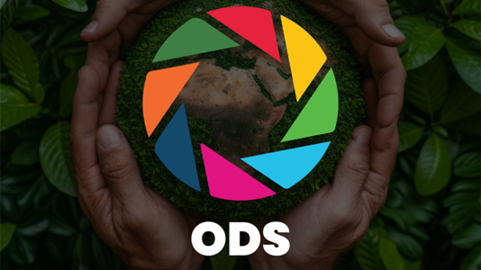Concurso ODS PHOTO regressa com fases municipais em sete concelhos do Tâmega e Sousa