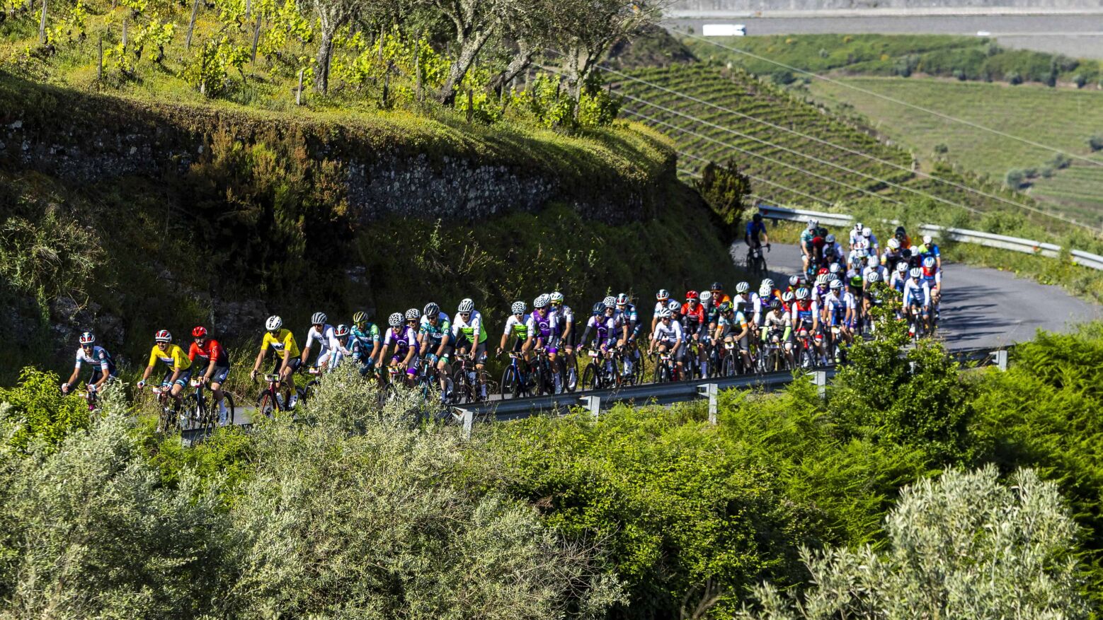 David Mayo volta a vencer Douro Granfondo e recupera liderança nacional