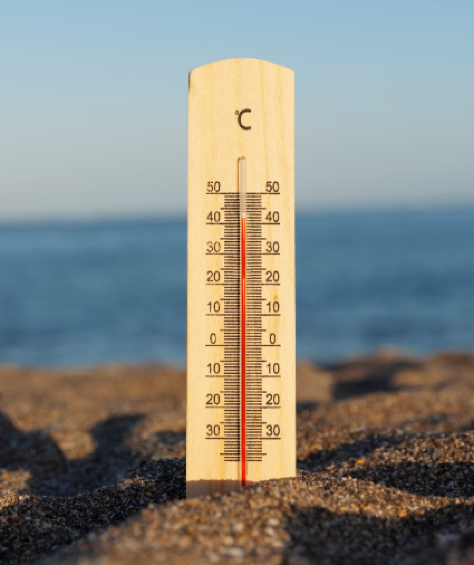 Portugal regista 264 mortes em excesso na última semana devido ao calor, sobretudo na região Norte