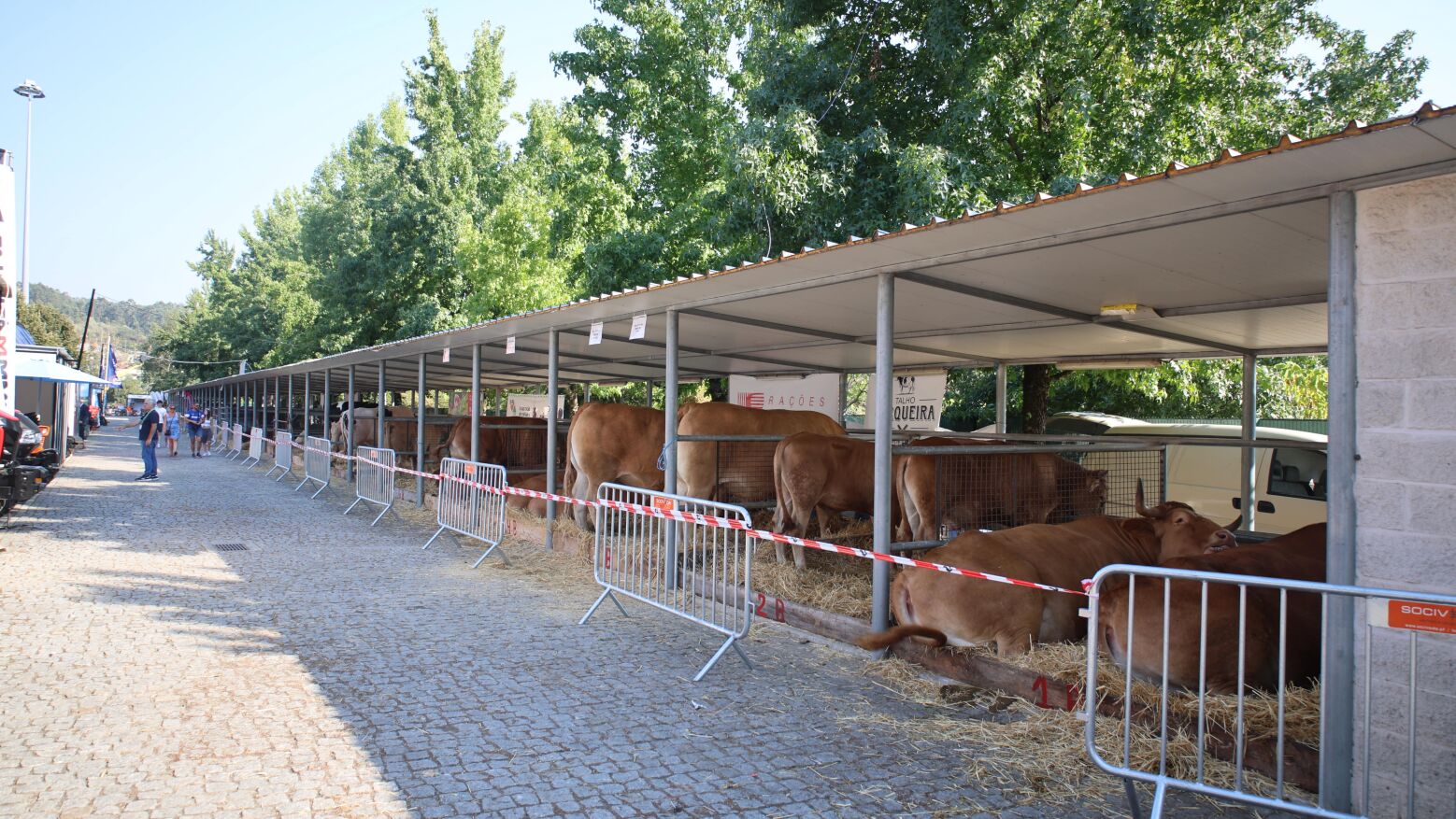 Agrival 2025 destaca tradição agrícola com Mostra de Gado Bovino e Cavalar