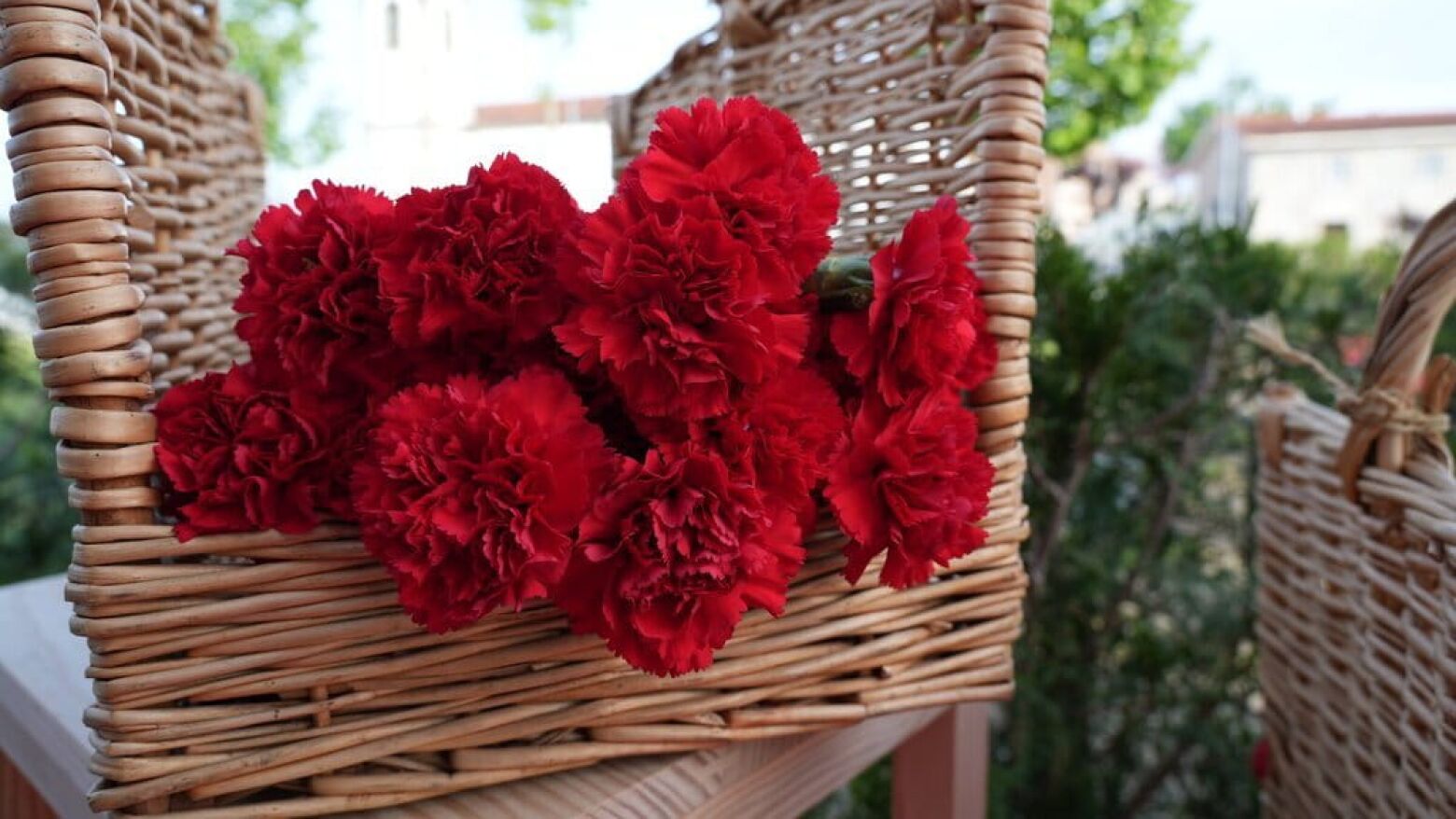 Paredes celebra 52 anos da Revolu&ccedil;&atilde;o com foco na Constitui&ccedil;&atilde;o e no Poder Local