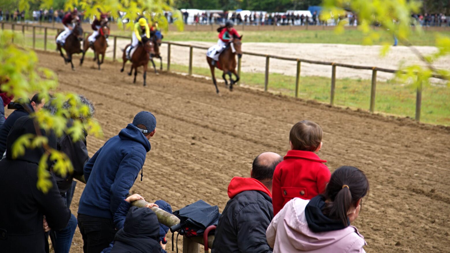 30.ª Corrida de Cavalos em Celorico de Basto decorreu "com sucesso" apesar do mau tempo
