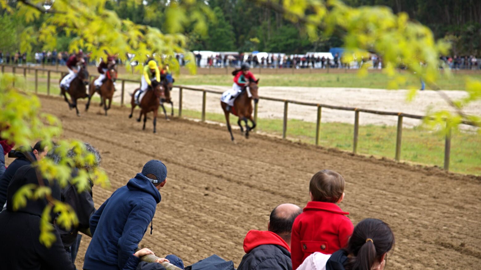 Hipódromo de Celorico de Basto vai receber corrida de cavalos a passo